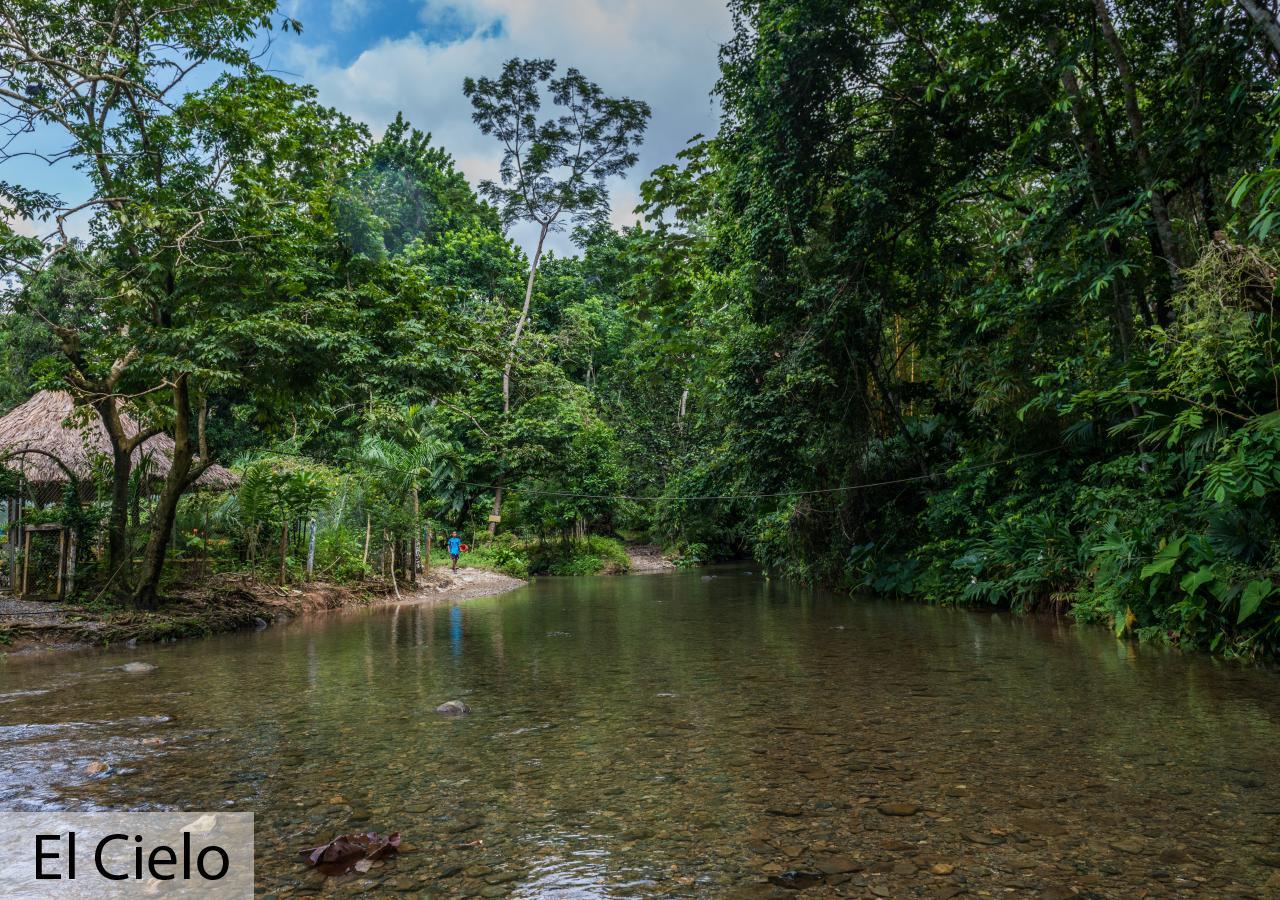 Tacarcuna Lodge Capurganá Exteriör bild